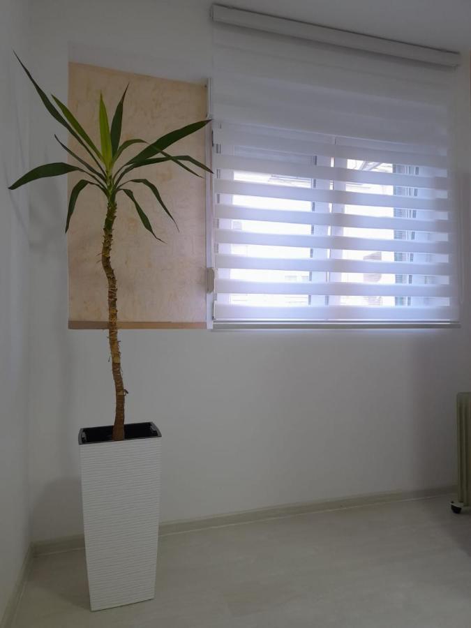 Appartamento Center Lux Belgrado